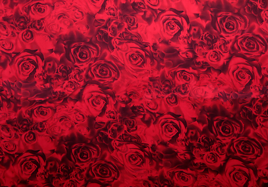 Shades of Red/Black Roses Print - Italian Stretch Silk Satin - 120 cm Wide.