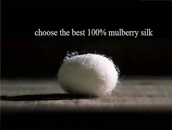 Floral Print on Natural Beige Silk Organza,  100%  Mulberry Silk, 20 MM.